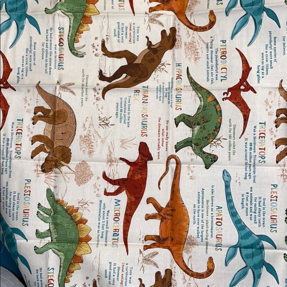 Cotton face mask, dinosaur